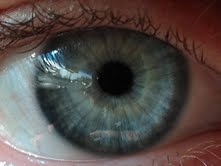 My eye