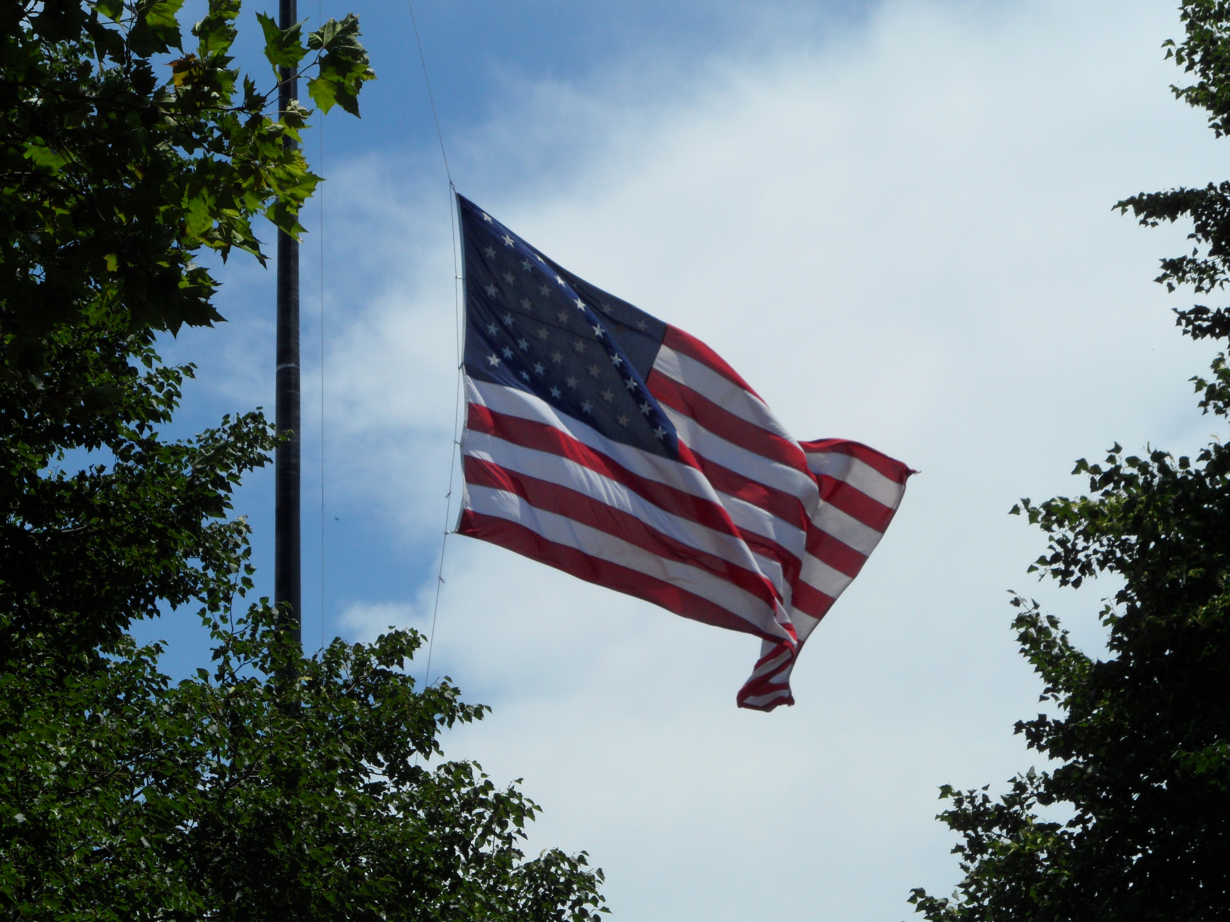 The Flag